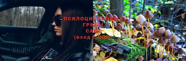 ешки Белоозёрский